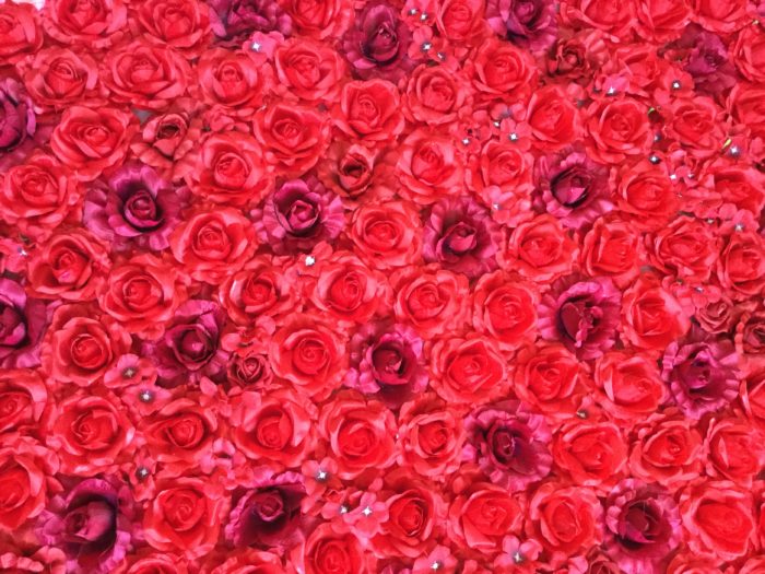 Blumenwand in rot