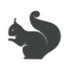 Eichhörnchen