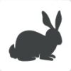 Hase