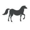 Pferd
