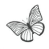 Schmetterling