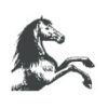 Springpferd