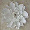 Anemone