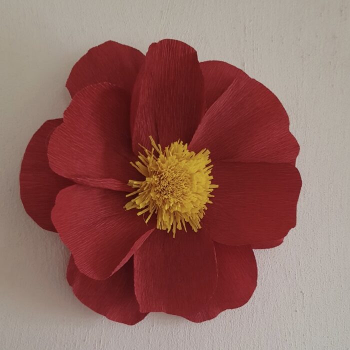 Mohnblume