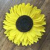 Sonnenblume