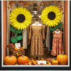 Sonnenblume